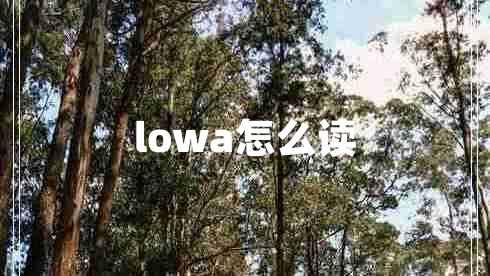 lowa怎么讀