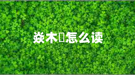 焱木燊怎么讀