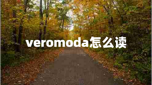 veromoda怎么讀