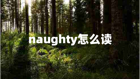 naughty怎么讀
