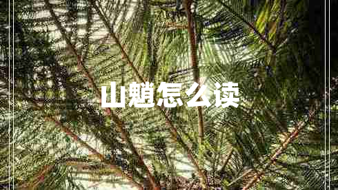 山魈怎么讀 山魈怎么讀