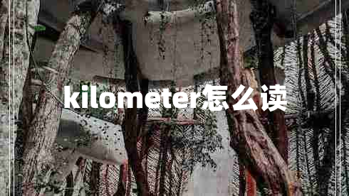 kilometer怎么讀