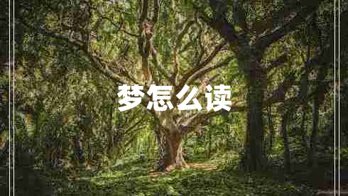 夢怎么讀