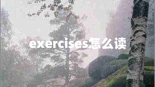 exercises怎么讀