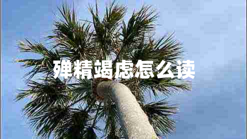 殫精竭慮怎么讀