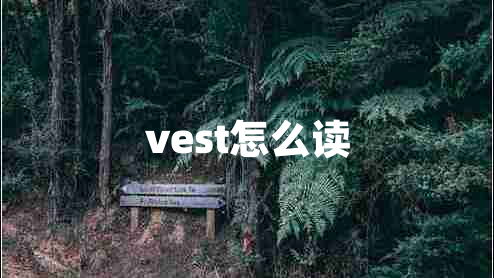 vest怎么讀