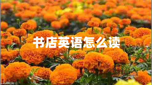 書店英語怎么讀