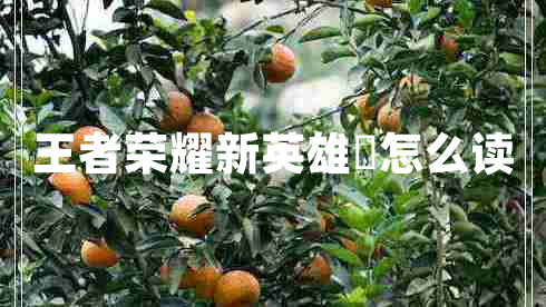 王者榮耀新英雄暃怎么讀
