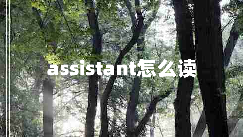 assistant怎么讀