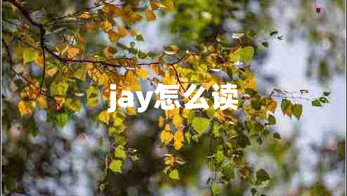 jay怎么讀