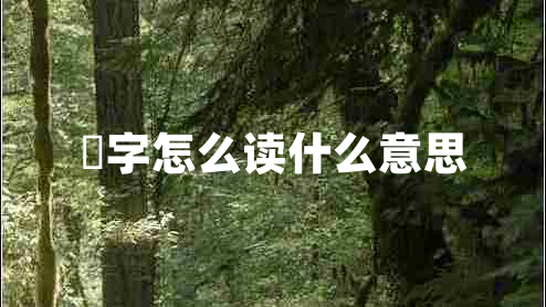 燊字怎么讀什么意思