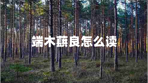 端木蕻良怎么讀