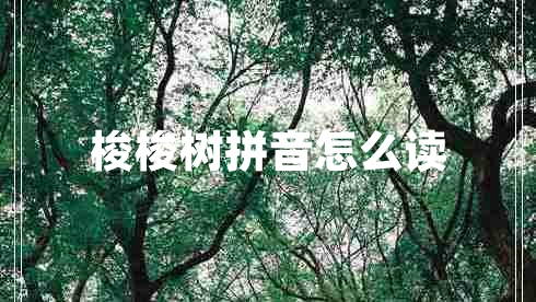 梭梭樹拼音怎么讀
