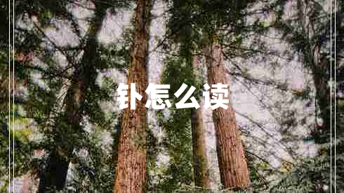 釙怎么讀