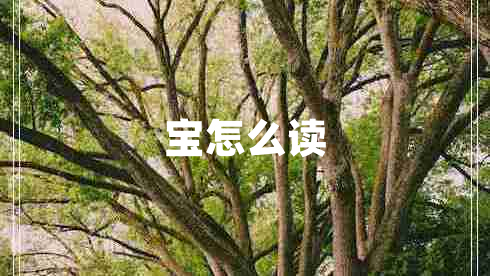 寶怎么讀 寶怎么讀