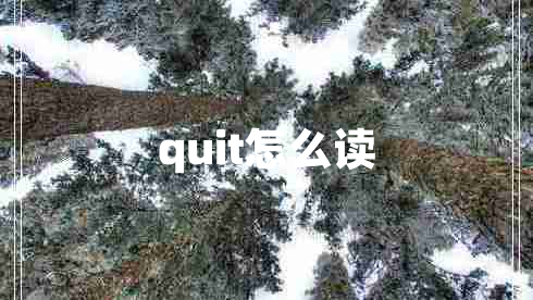 quit怎么讀 quit怎么讀