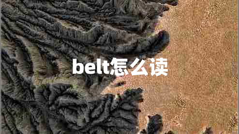 belt怎么讀