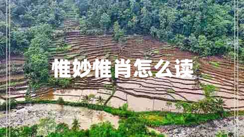 惟妙惟肖怎么讀 惟妙惟肖怎么讀