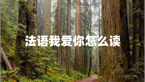 法語(yǔ)我愛你怎么讀