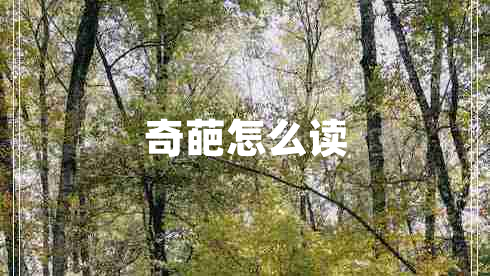奇葩怎么讀