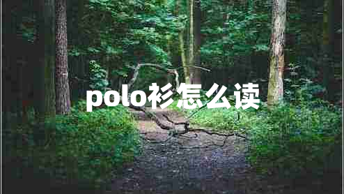 polo衫怎么讀