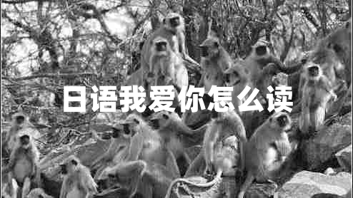 日語我愛你怎么讀 日語我愛你怎么讀