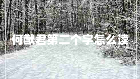 何猷君第二個字怎么讀