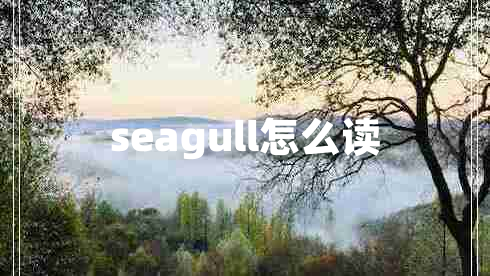 seagull怎么讀 seagull怎么讀