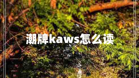 潮牌kaws怎么讀