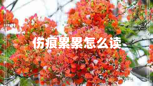 傷痕累累怎么讀