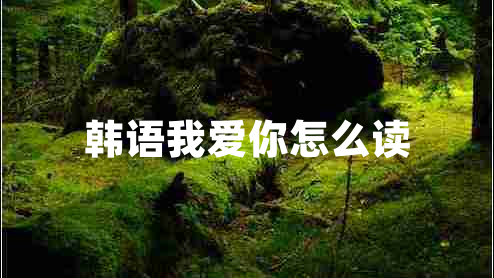 韓語我愛你怎么讀