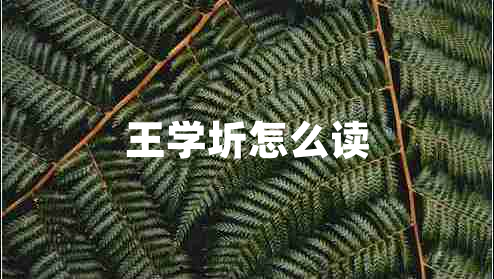 王學(xué)圻怎么讀
