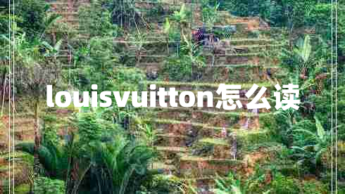 louisvuitton怎么讀