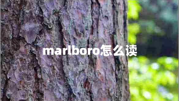marlboro怎么讀