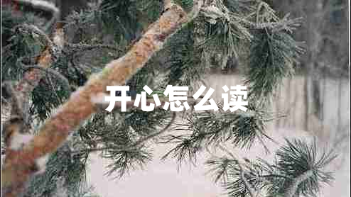 開(kāi)心怎么讀