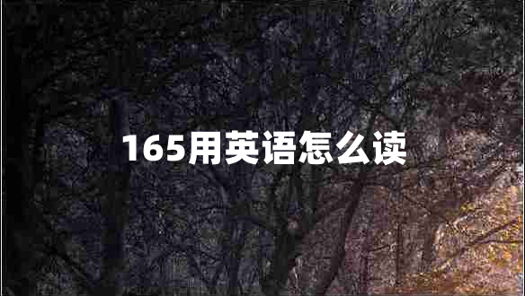 165用英語怎么讀 165用英語怎么讀