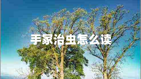 手冢治蟲怎么讀