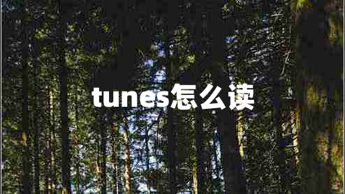 tunes怎么讀