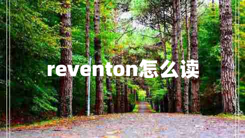 reventon怎么讀