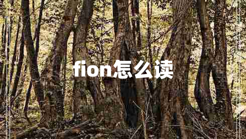 fion怎么讀