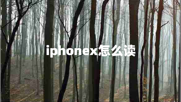 iphonex怎么讀