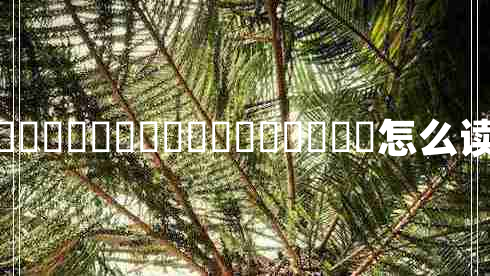 龘龖龘龖龘龖龘龖龘龖龘龖龘龖龘龖怎么讀