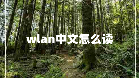 wlan中文怎么讀