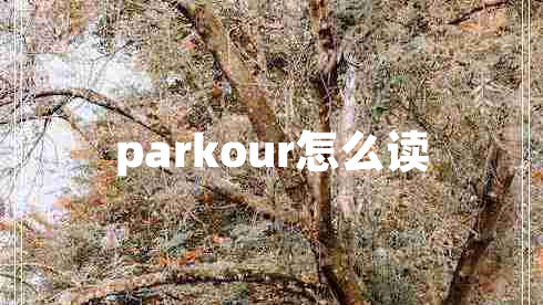 parkour怎么讀