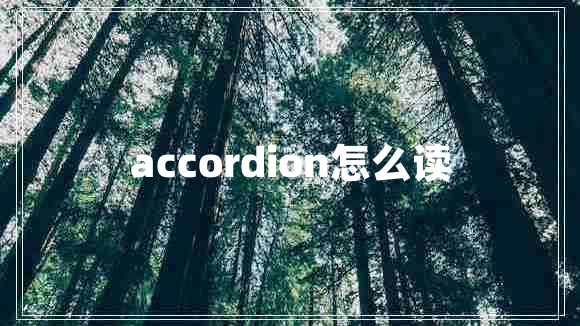 accordion怎么讀