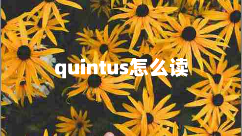quintus怎么讀