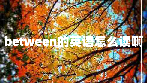 between的英語怎么讀啊