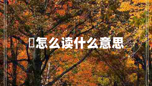 箎怎么讀什么意思