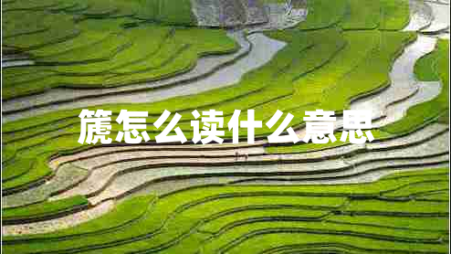 篪怎么讀什么意思 篪怎么讀什么意思