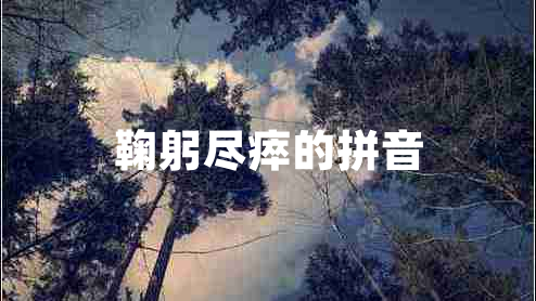 鞠躬盡瘁的拼音